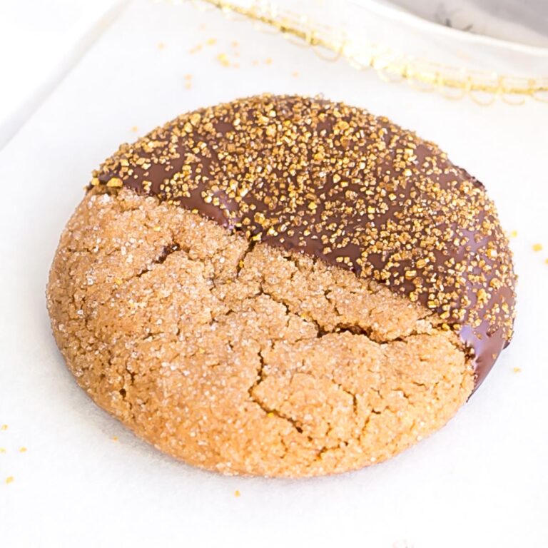 Chocolate Dipped Gingerbread Cookies – GatoFacile